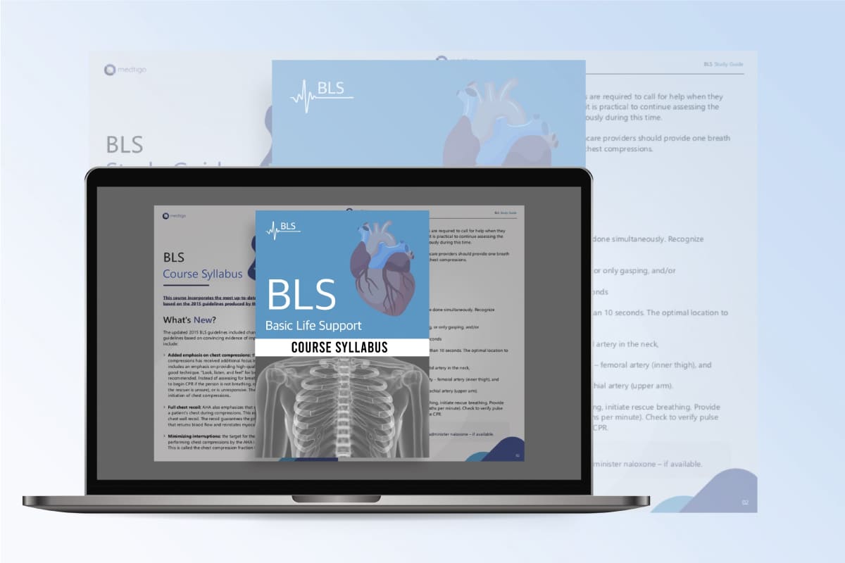 Basic Life Support (BLS) (Best Value) - Image 3